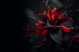 Read more about the article Twilight Solitude Embracing the Calm Sea